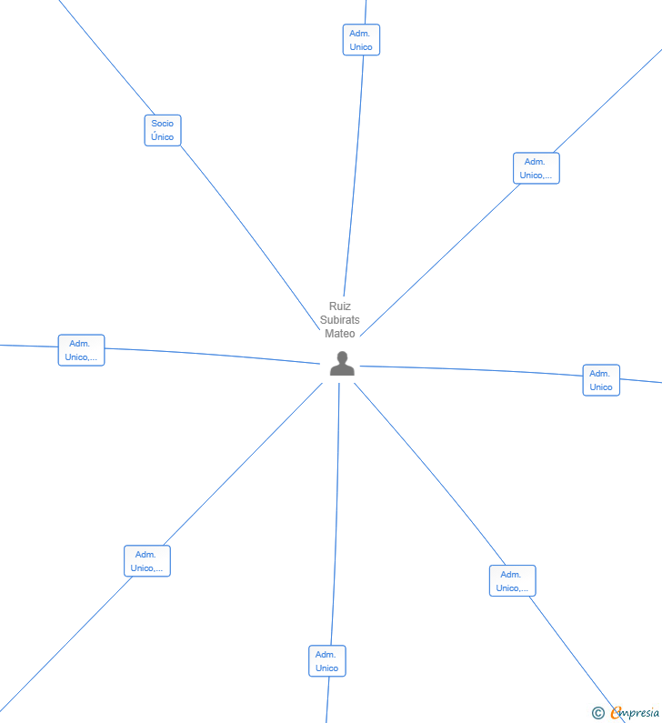 Vinculaciones societarias de ZOE REALTY SL