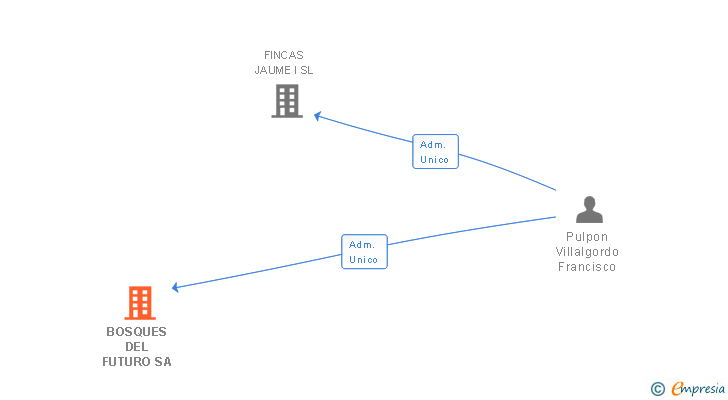 Vinculaciones societarias de BOSQUES DEL FUTURO SA