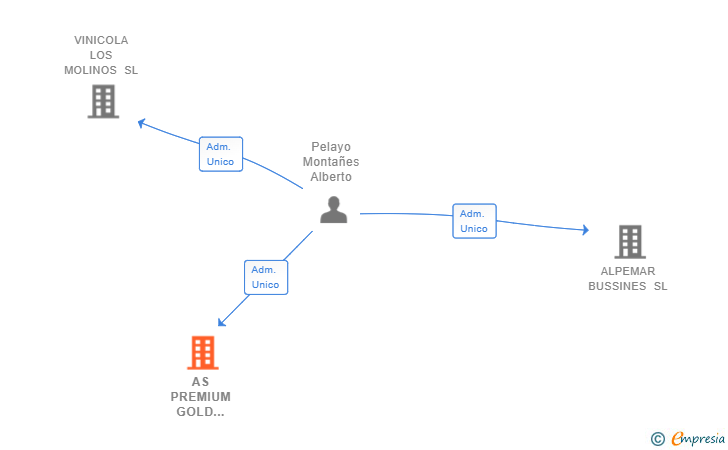 Vinculaciones societarias de AS PREMIUM GOLD CARS SL