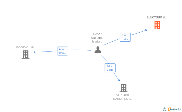 Vinculaciones societarias de ELECYSUR SL