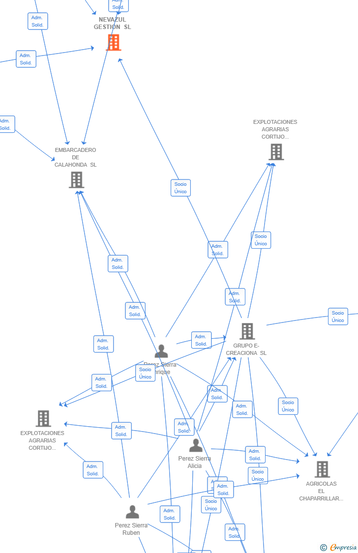 Vinculaciones societarias de NEVAZUL GESTION SL