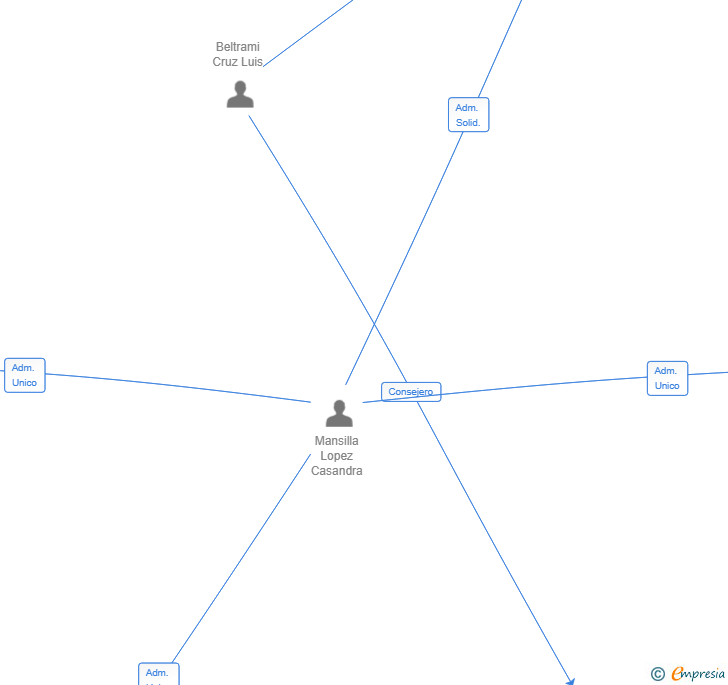 Vinculaciones societarias de BROOKWOOD INVERSION Y GESTION SL