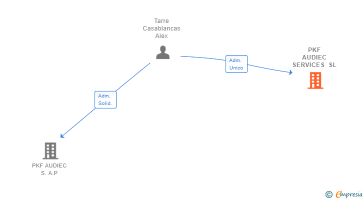 Vinculaciones societarias de PKF AUDIEC SERVICES SL