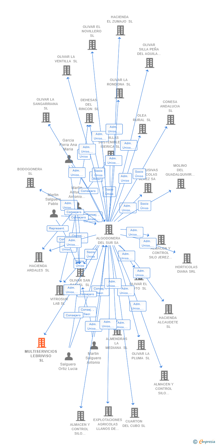 Vinculaciones societarias de MULTISERVICIOS LEBRIVISO SL