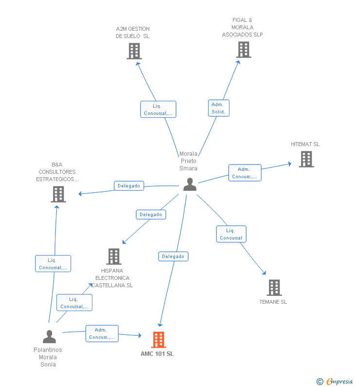 Vinculaciones societarias de AMC 101 SL