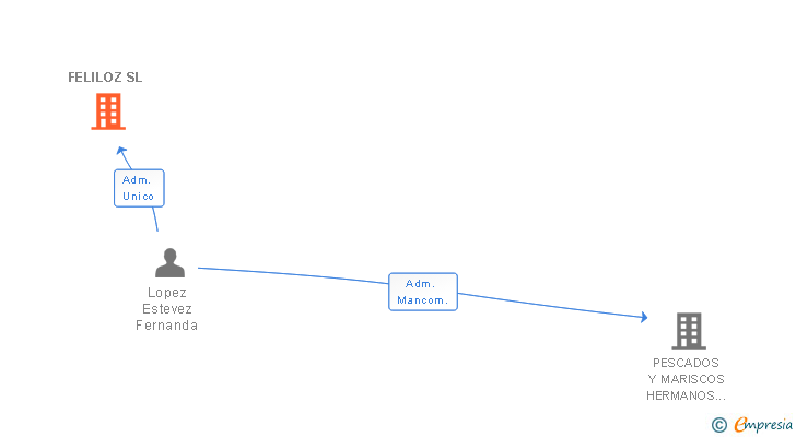 Vinculaciones societarias de FELILOZ SL