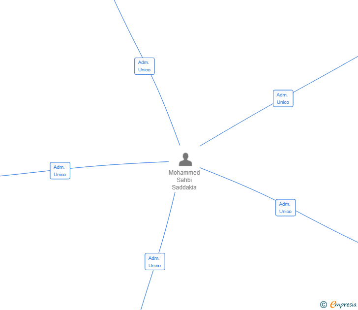Vinculaciones societarias de GASTROEXPERT GROUP 2025 SL