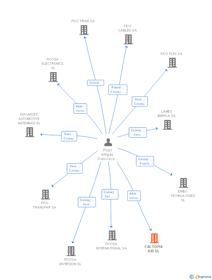 Vinculaciones societarias de CALTOPIA XXI SL