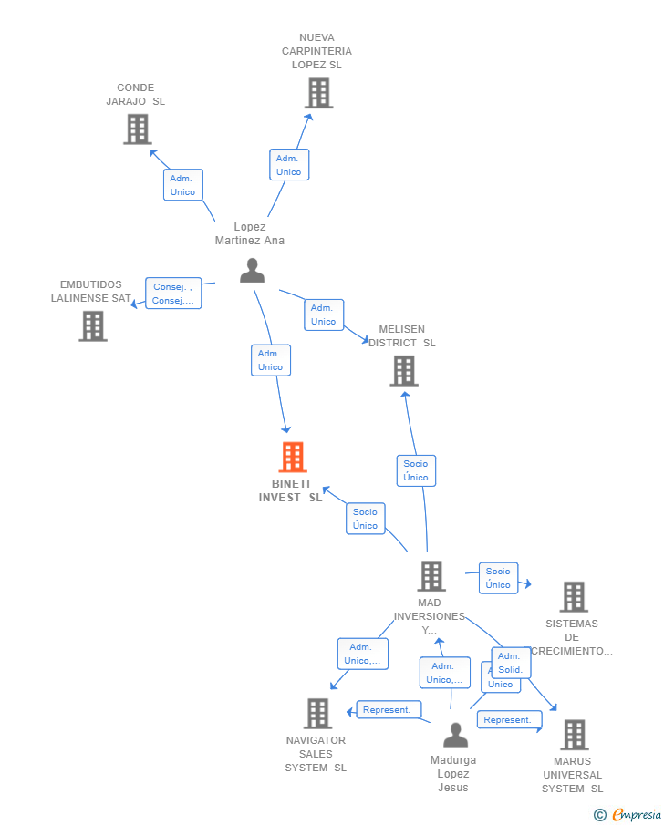 Vinculaciones societarias de BINETI INVEST SL