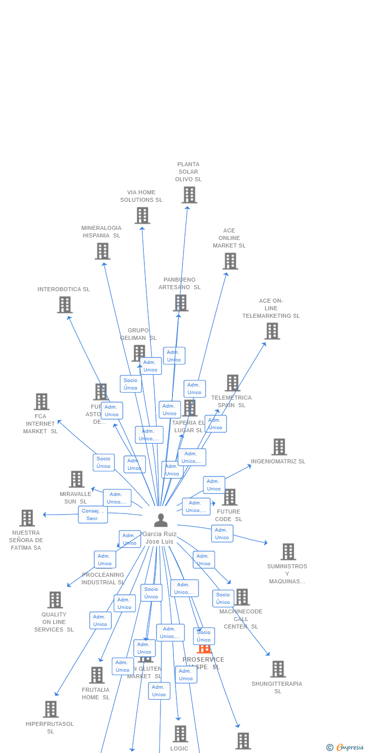 Vinculaciones societarias de PROSERVICE JASPE SL