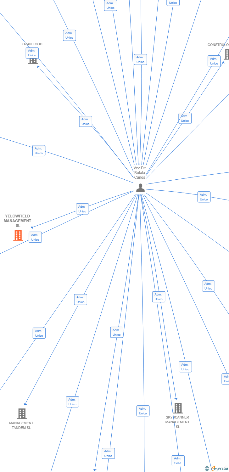 Vinculaciones societarias de YELOWFIELD MANAGEMENT SL