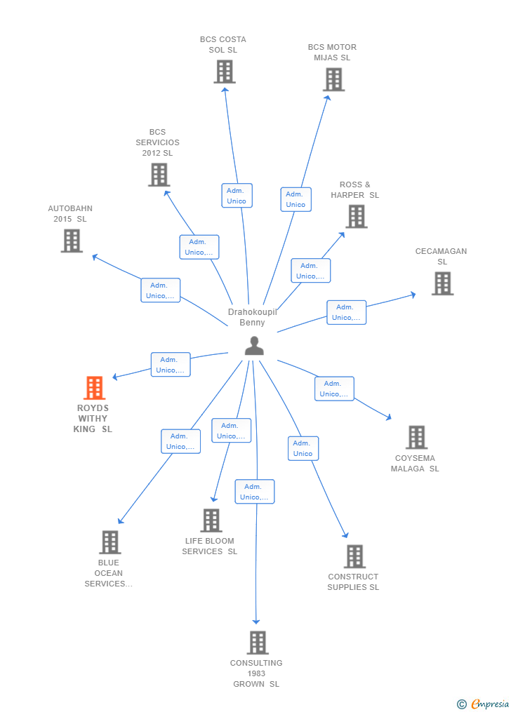 Vinculaciones societarias de ROYDS WITHY KING SL