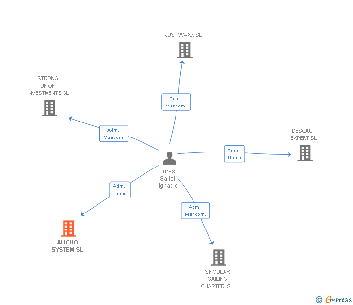 Vinculaciones societarias de ALICUO SYSTEM SL