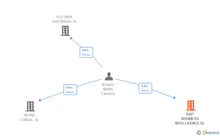 Vinculaciones societarias de KAP BUSINESS INTELLIGENCE SL