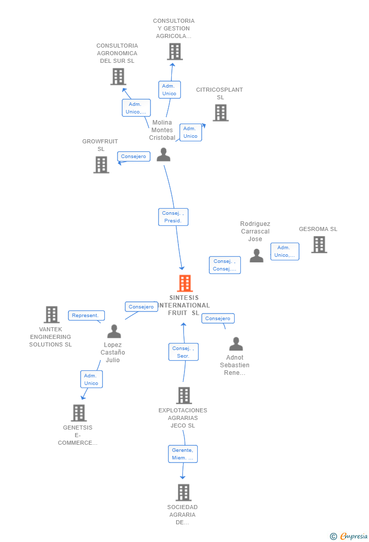Vinculaciones societarias de SINTESIS INTERNATIONAL FRUIT SL