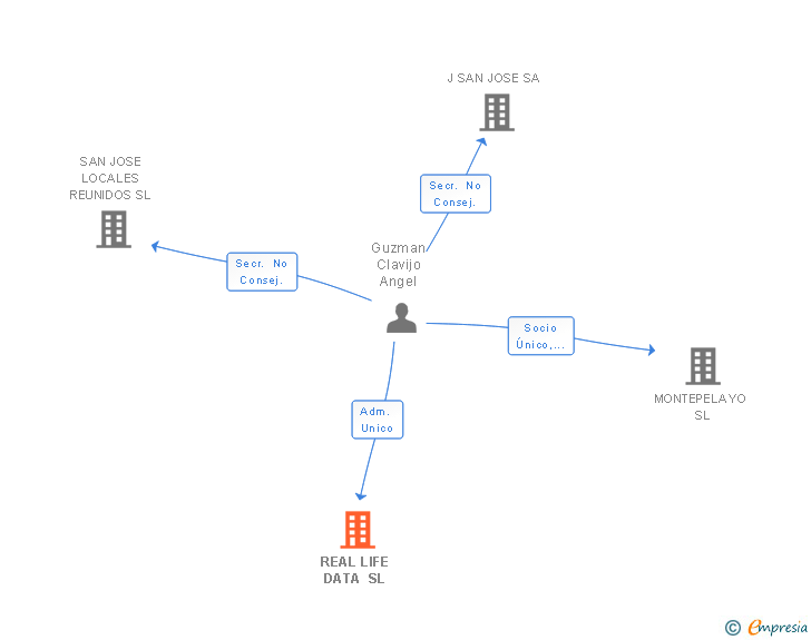 Vinculaciones societarias de REAL LIFE DATA SL