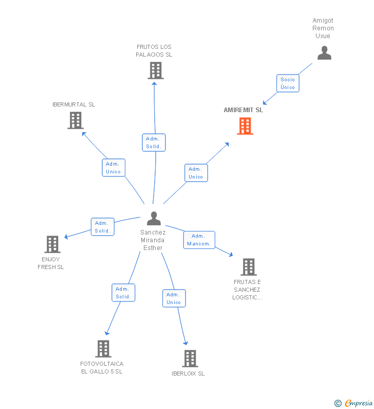 Vinculaciones societarias de AMIREMIT SL