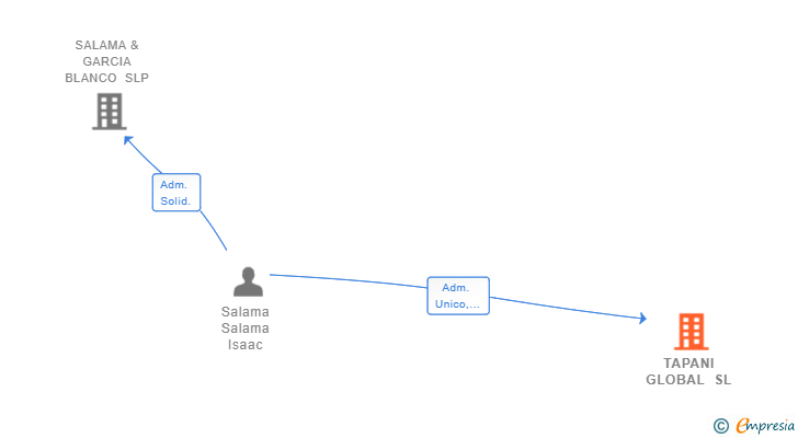 Vinculaciones societarias de TAPANI GLOBAL SL