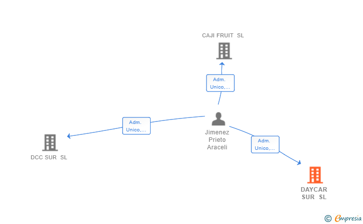 Vinculaciones societarias de DAYCAR SUR SL