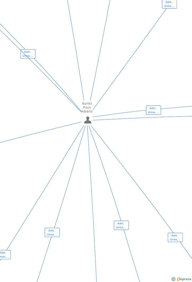 Vinculaciones societarias de ROBOTILAND PARTNERS SL