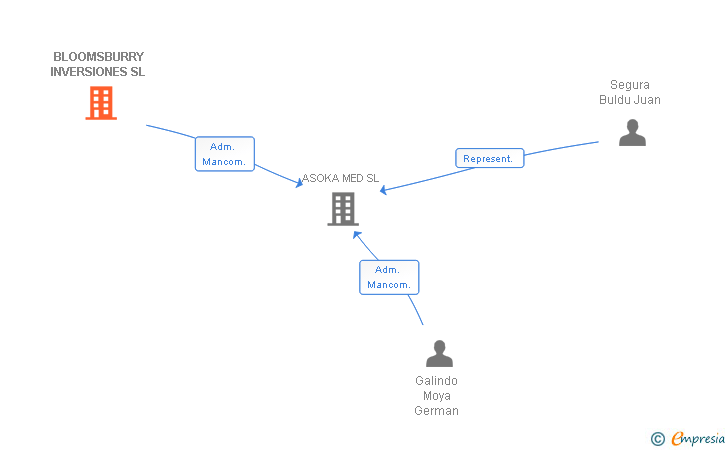 Vinculaciones societarias de BLOOMSBURRY INVERSIONES SL