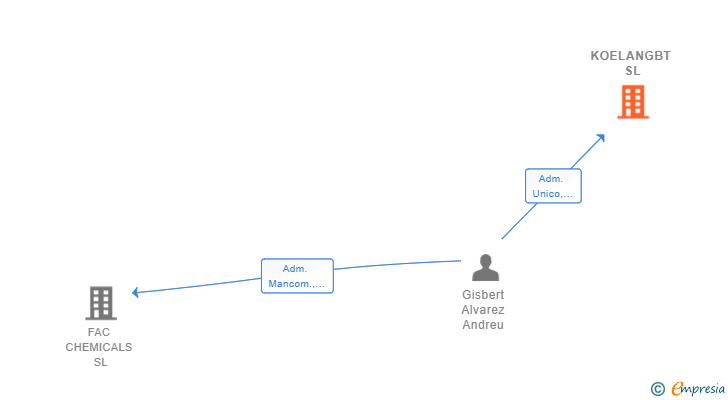 Vinculaciones societarias de KOELAN LABS SL