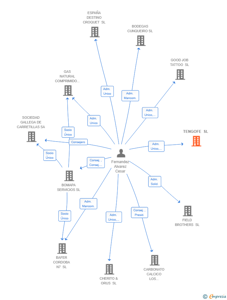 Vinculaciones societarias de TENGOFE SL