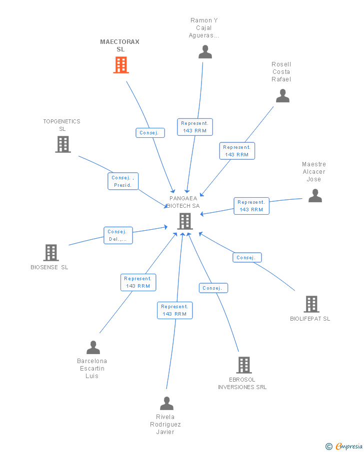 Vinculaciones societarias de MAECTORAX SL