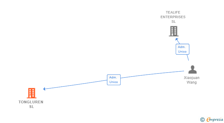 Vinculaciones societarias de TONGLUREN SL