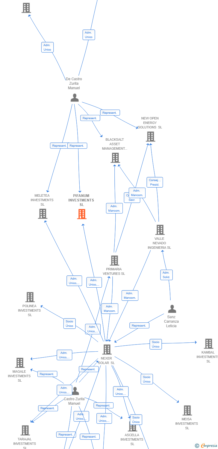 Vinculaciones societarias de PIFANUM INVESTMENTS SL