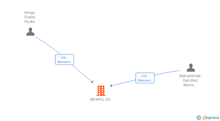 Vinculaciones societarias de BRAPAL SA