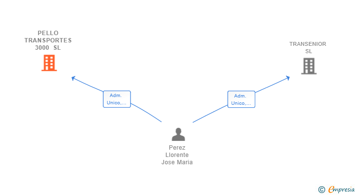 Vinculaciones societarias de PELLO TRANSPORTES 3000 SL