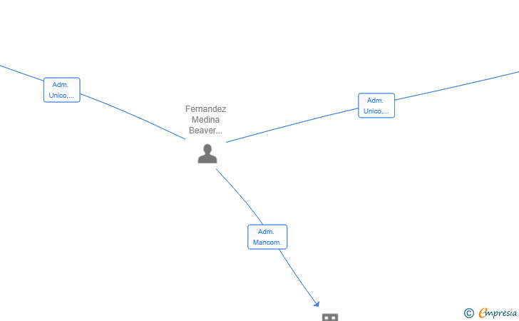 Vinculaciones societarias de BLUEASH INVESTMENT ADVISORS SL