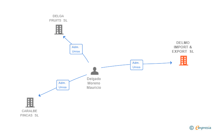 Vinculaciones societarias de DELMO IMPORT & EXPORT SL