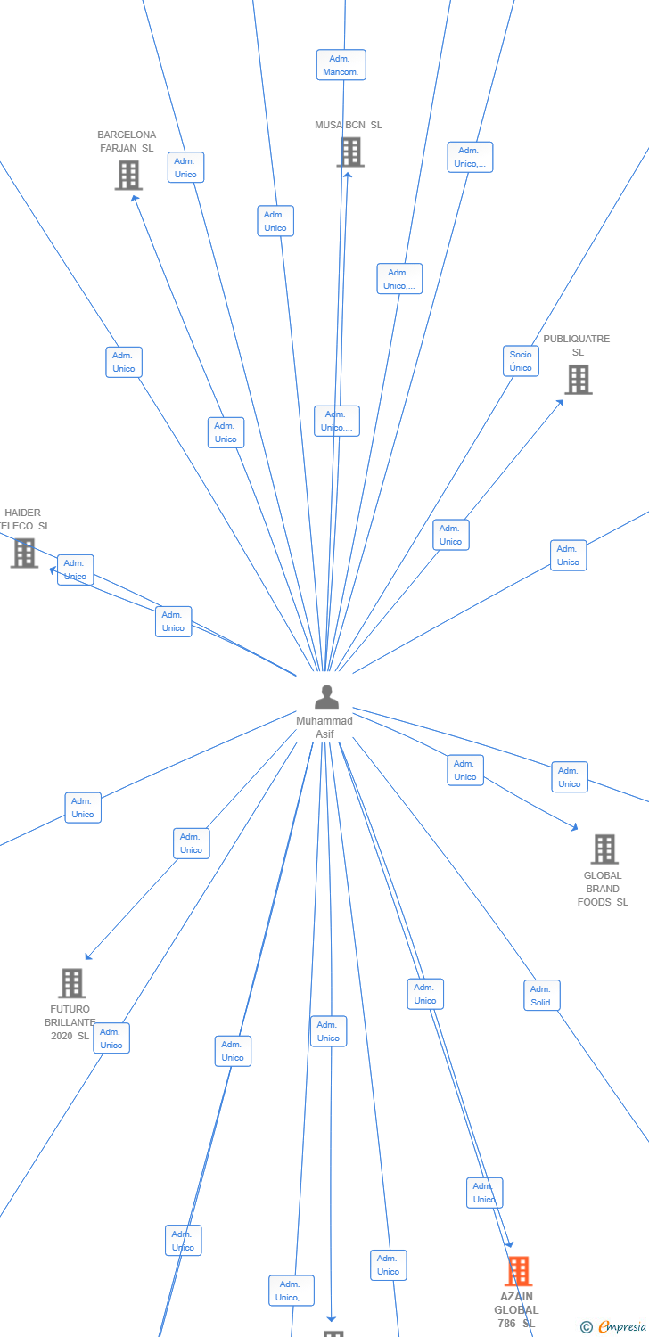 Vinculaciones societarias de AZAIN GLOBAL 786 SL