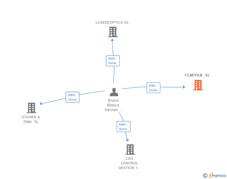 Vinculaciones societarias de FEMIYAN SL