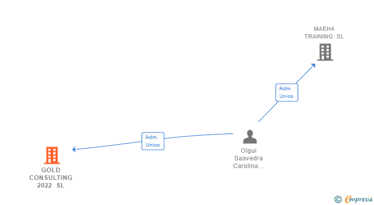 Vinculaciones societarias de GOLD CONSULTING 2022 SL