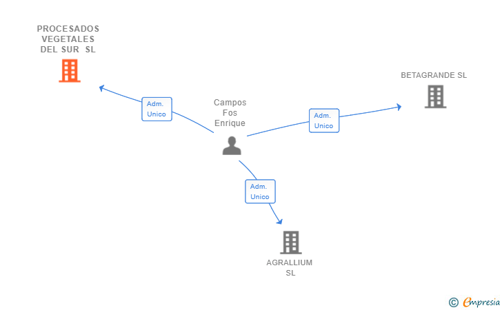 Vinculaciones societarias de PROCESADOS VEGETALES DEL SUR SL