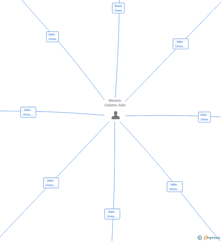 Vinculaciones societarias de AURUM CONSULTING NETWORK SL