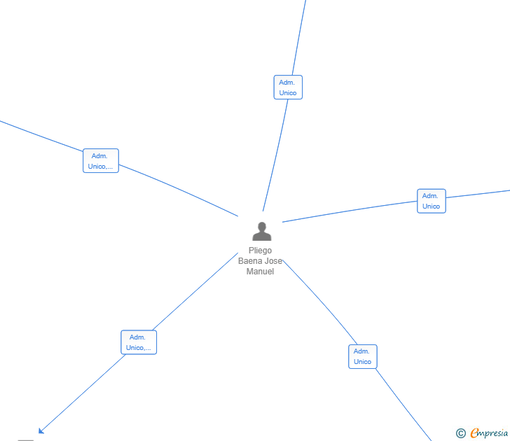 Vinculaciones societarias de HOMEFLOW CAPITAL SL