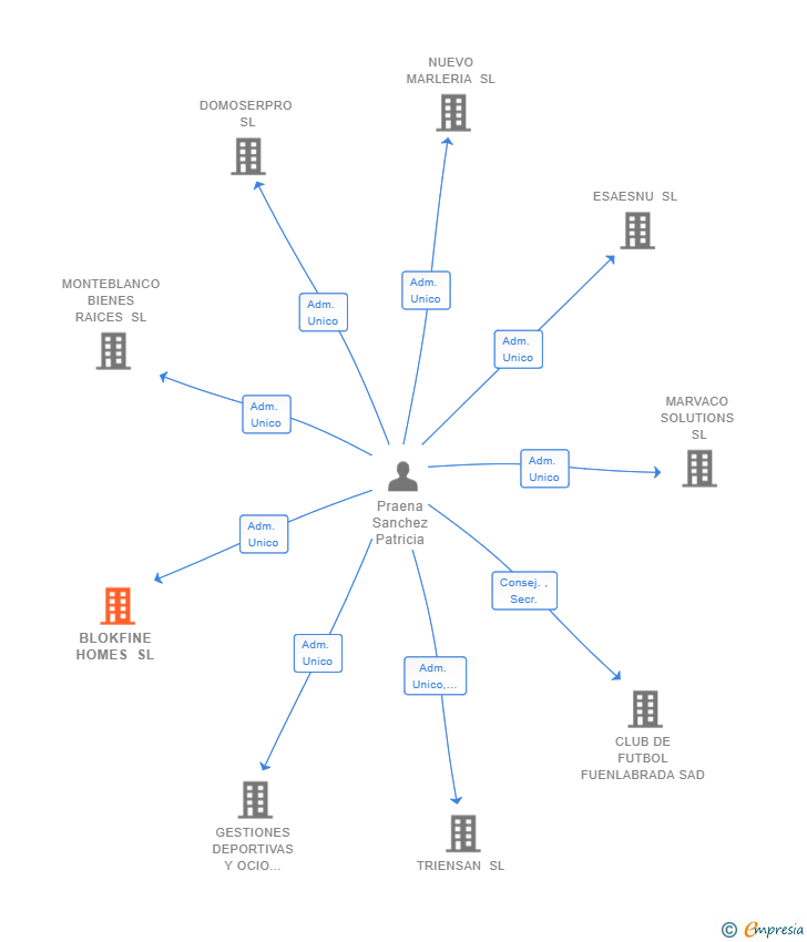 Vinculaciones societarias de BLOKFINE HOMES SL