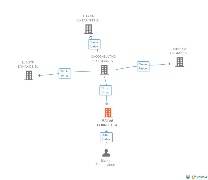 Vinculaciones societarias de MALVA CONNECT SL
