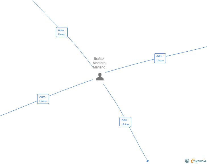 Vinculaciones societarias de IBSACREDITS SL