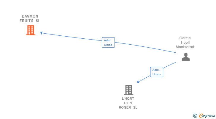 Vinculaciones societarias de DAVMON FRUITS SL
