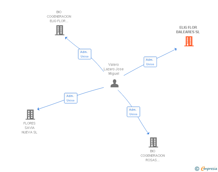 Vinculaciones societarias de ELIG FLOR BALEARES SL