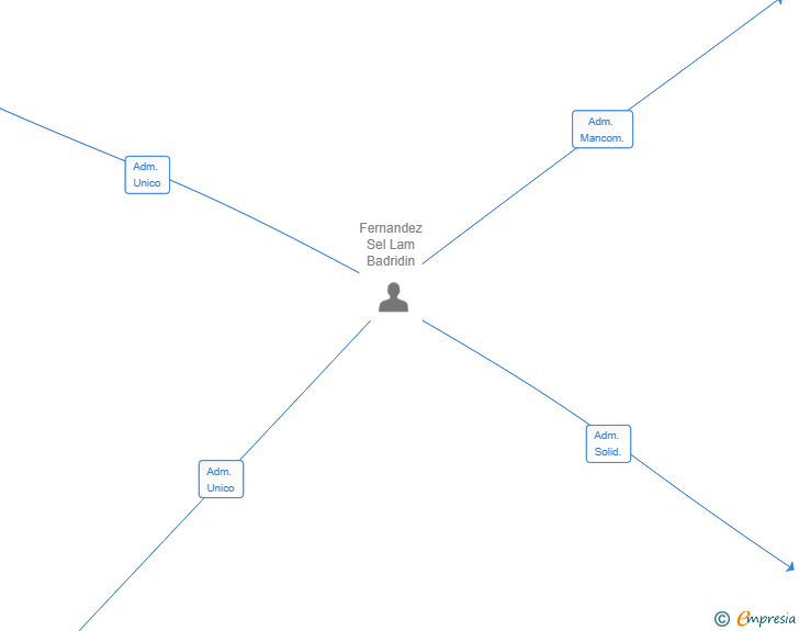 Vinculaciones societarias de SERVICIOS INTEGRALES BDR TARRAGONA SL