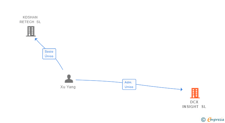 Vinculaciones societarias de DCX INSIGHT SL
