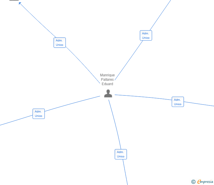Vinculaciones societarias de AFFIDAVIT SERVICING SL