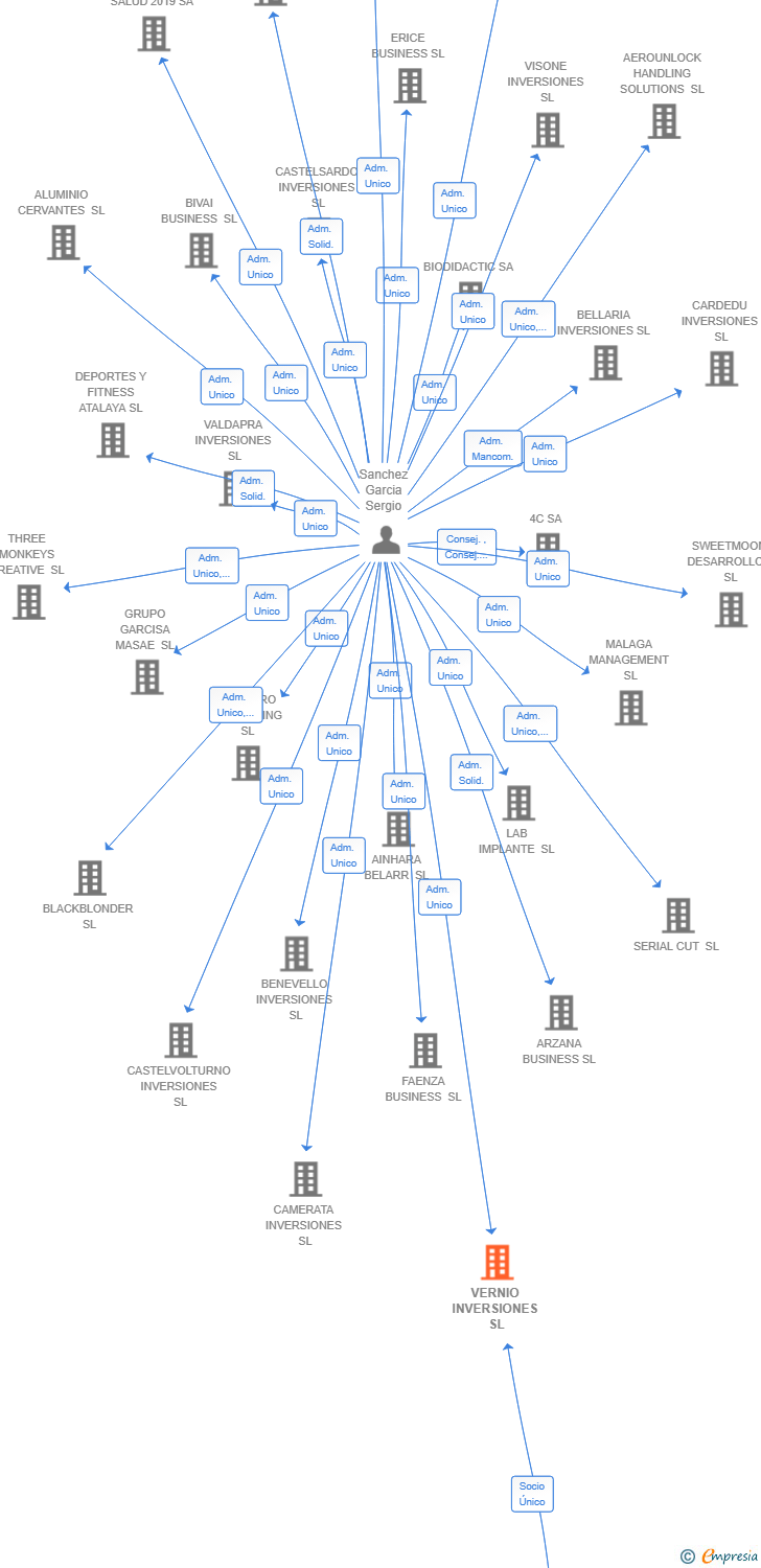 Vinculaciones societarias de VERNIO INVERSIONES SL