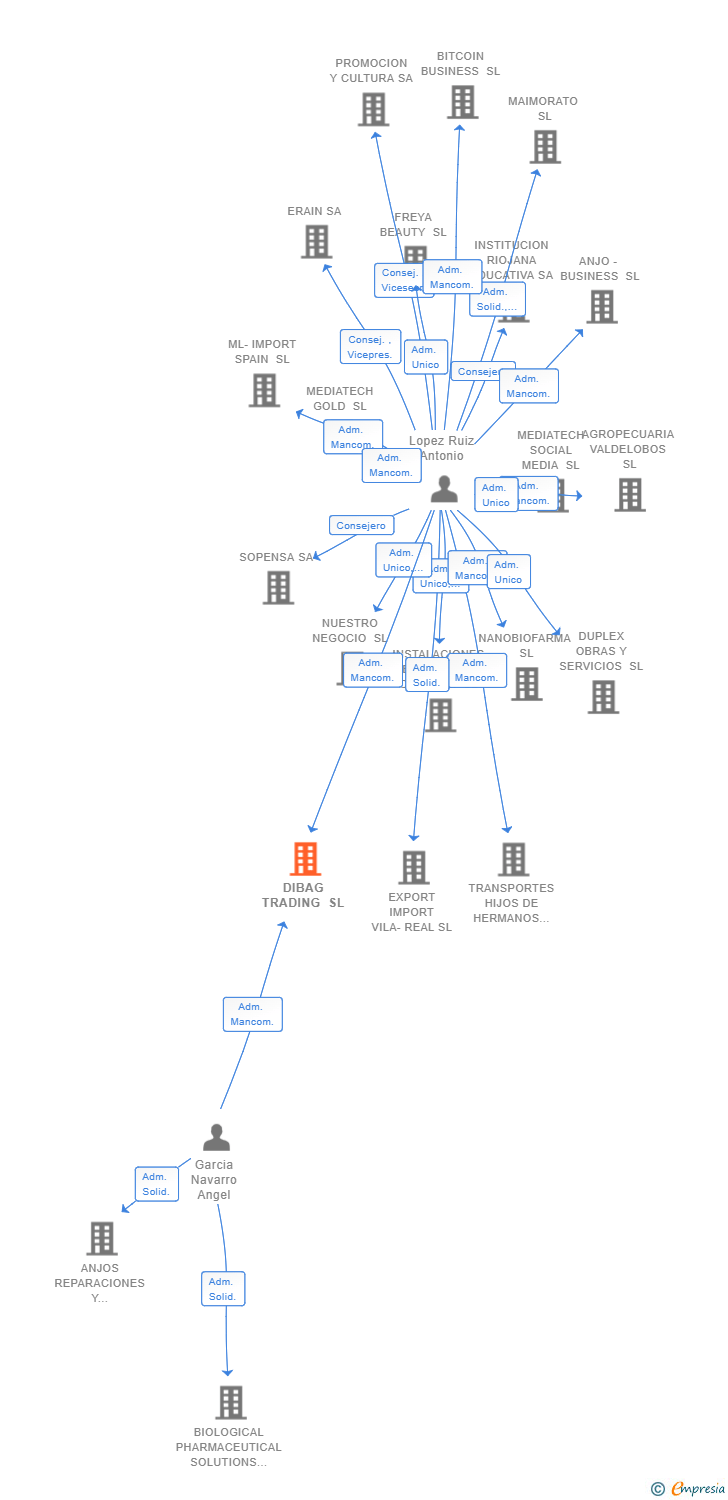 Vinculaciones societarias de DIBAG TRADING SL